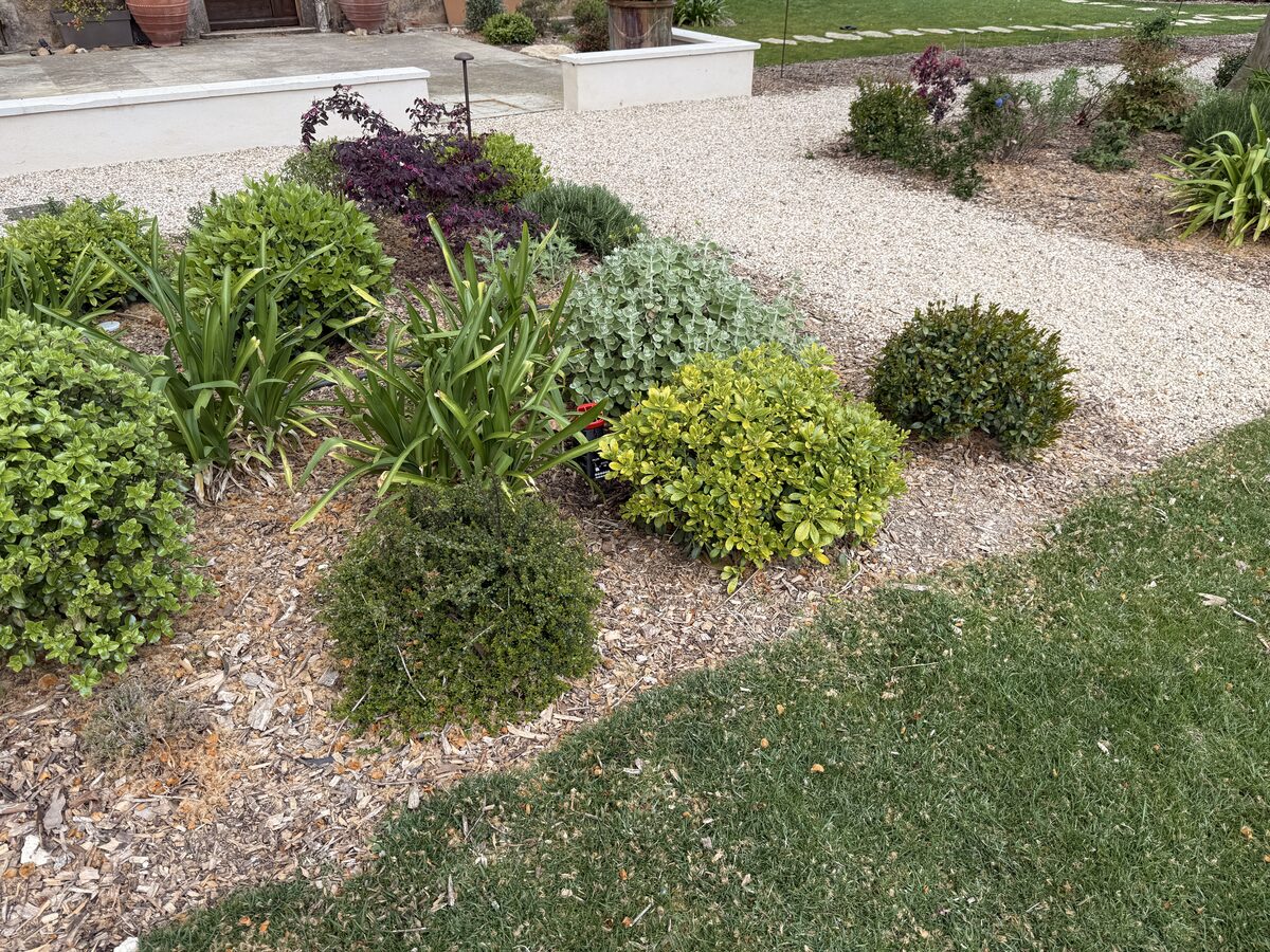 Piège Inzecto au jardin en zone ombragée